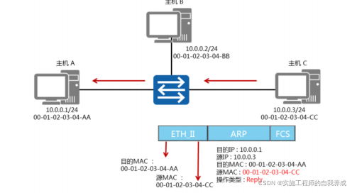 ARP 基础知识_arp学习-CSDN博客