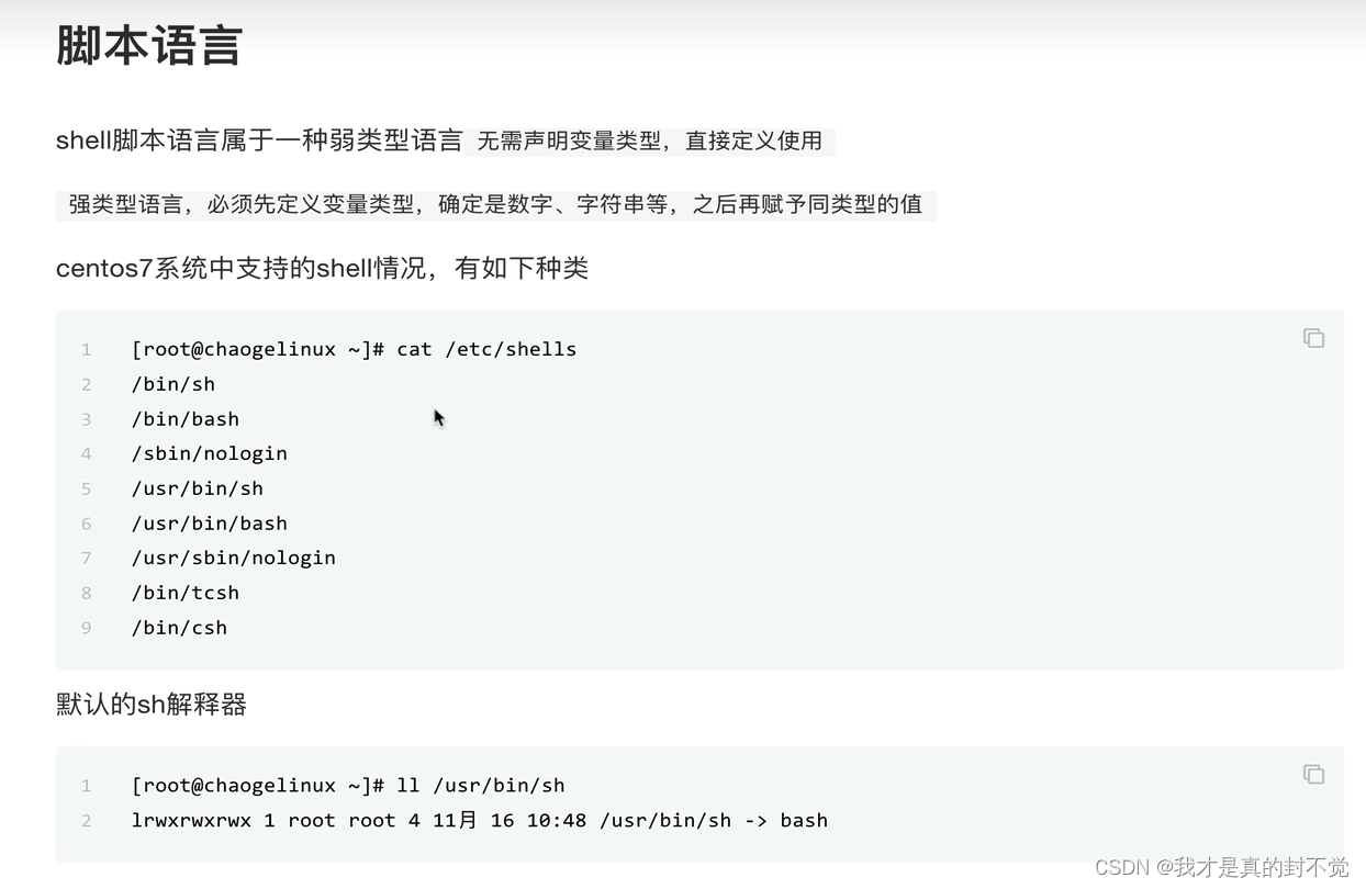 Shell最全笔记 就决定用你了