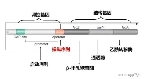 原理图