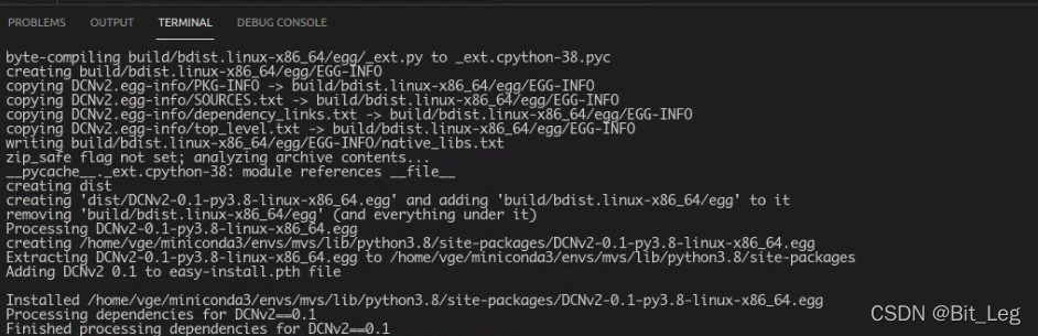 安装到虚拟环境中