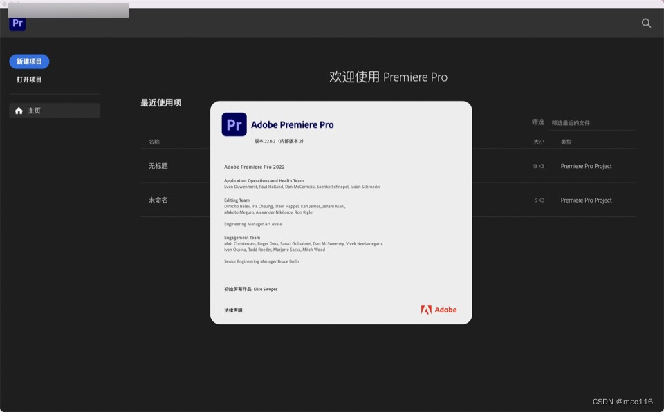 视频编辑软件Premiere Pro 2022 mac(pr2023)v22.6.2中文功能