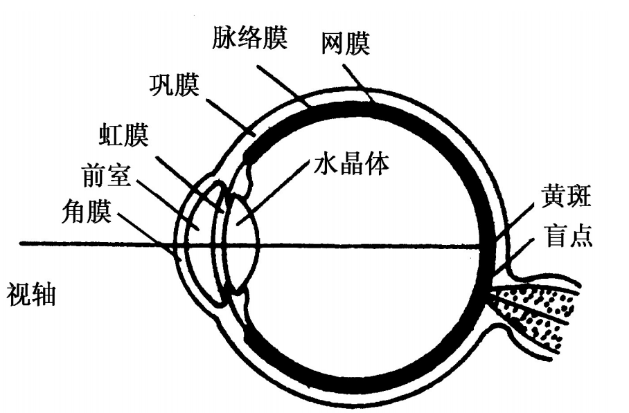 ![[Pasted image 20220809144506.png]]