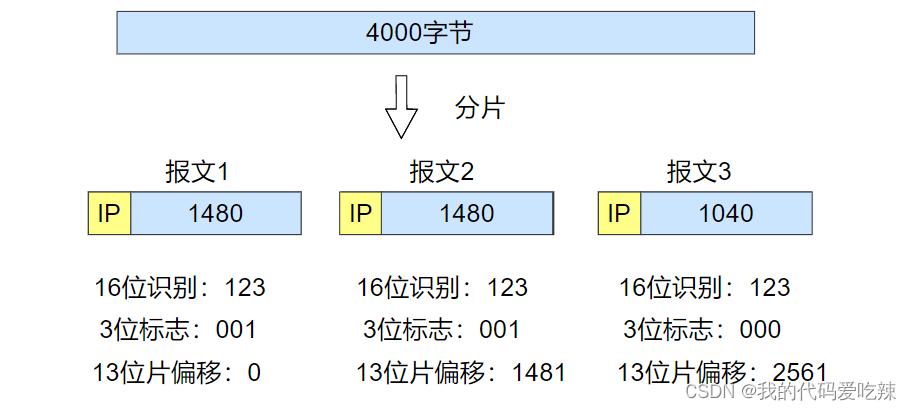 Linux网络——网络层