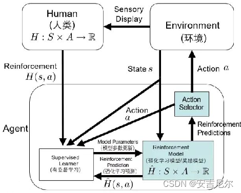 TAMER流程