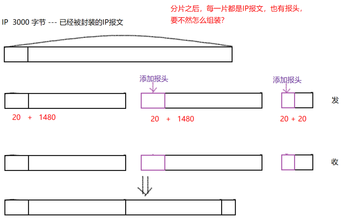 【网络层】IP协议