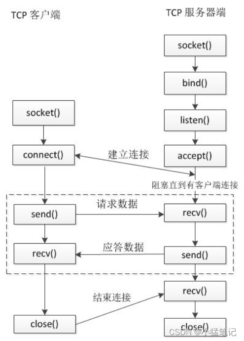 Linux下TCP网络服务器与客户端通信程序入门