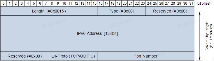 SOME/IP SD IPv6端口Option格式