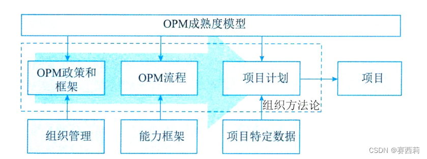 项目组织中OPM成熟度模型交互关系