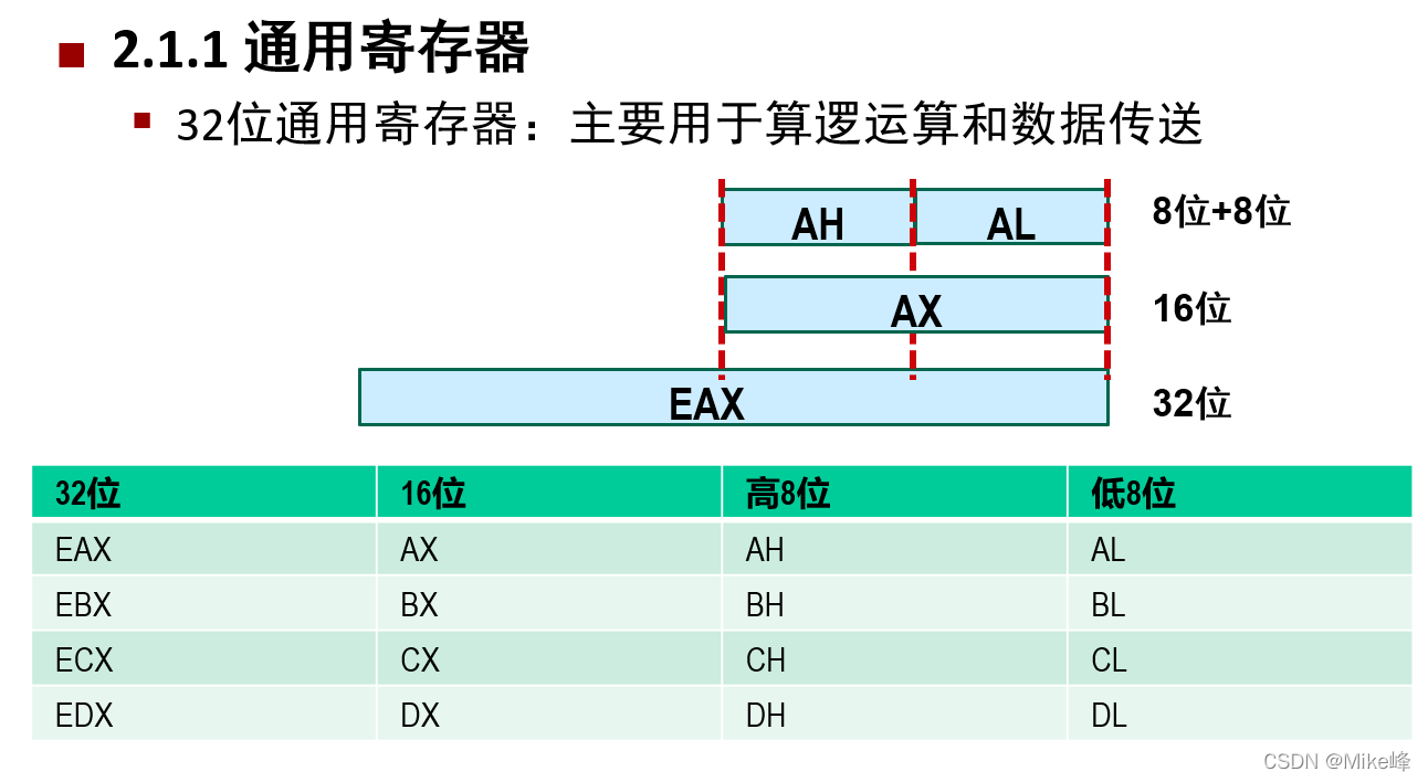 通用寄存器的一般位级表示