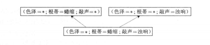 西瓜问题的版本空间