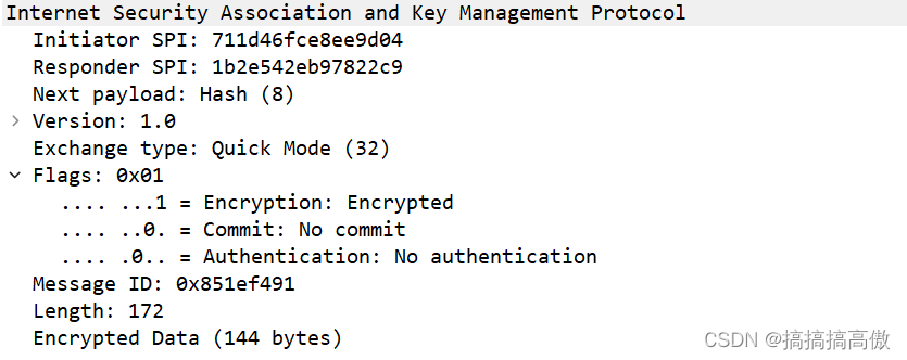 IPsec中IKE与ISAKMP过程分析（快速模式-消息1）