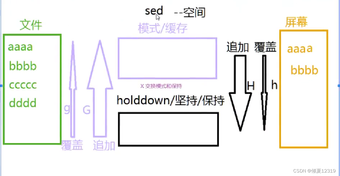 【 shell 编程 】第5篇 文本编辑三剑客