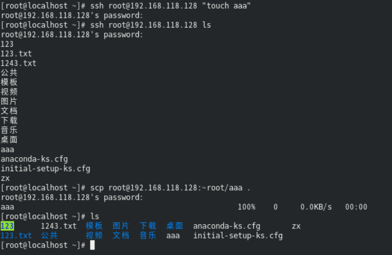 SSH 基础用法