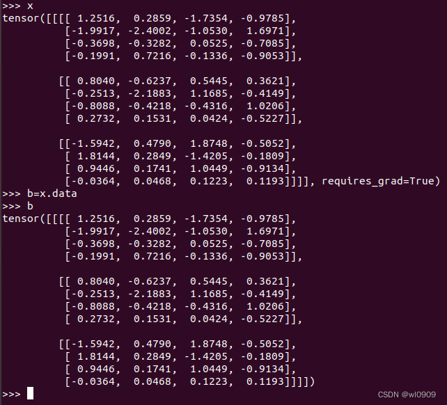 pytorch 导出onnx模型没有输入节点
