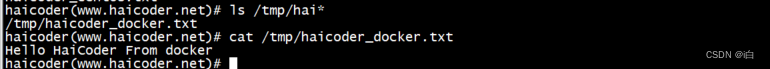 【自学Docker】Docker cp命令