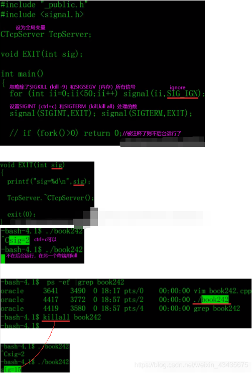 【C++1】函数重载，类和对象，引用，string类，vector容器，类继承和多态，/socket，进程信号