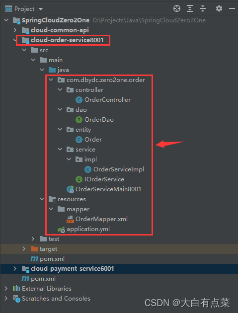 cloud-order-service8001 子模块结构