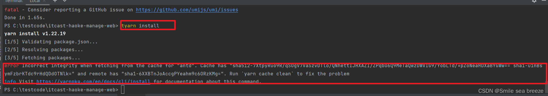 error Incorrect integrity when fetching from the cache for “antd“.