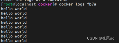 Docker入门到放弃笔记之容器
