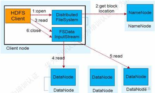 HDFS read data process