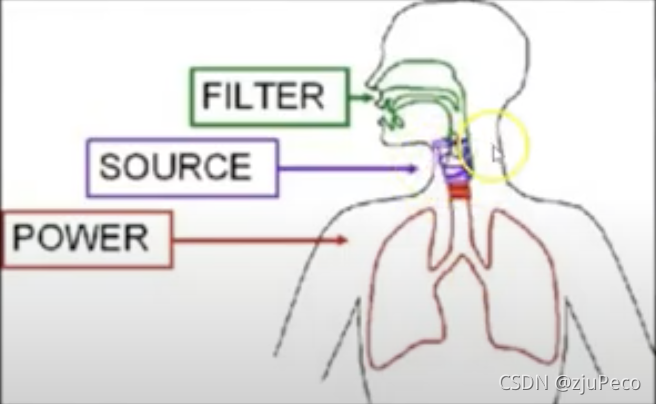 人体发声示意图