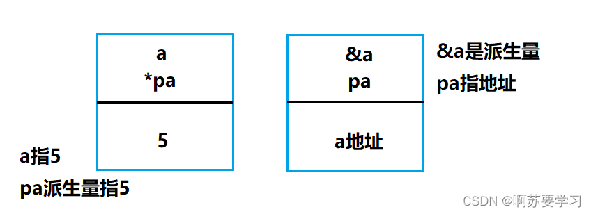 认识C++《共、枚、指1》