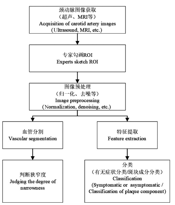 【论文阅读 03】机器学习算法在颈动脉斑块影像学分类中的研究进展