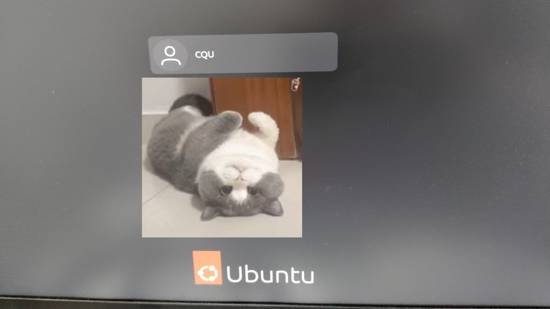 【linux】在Linux系统开机的时候卡在/dev/nvme0n1p1:clean / files / blocks界面进不去