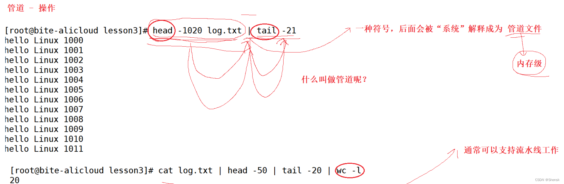 man，cp，mv，alias，more，less，head，tail指令与文件片段读取和管道的初步介绍