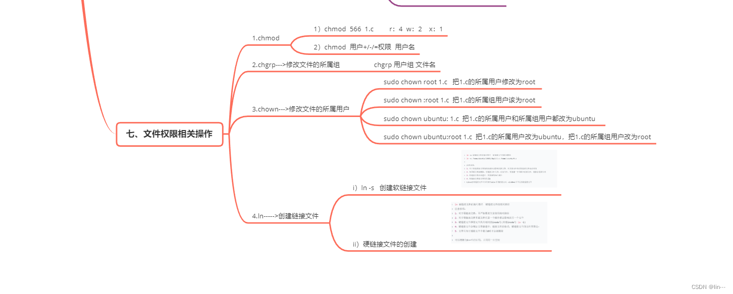 c高级：day1