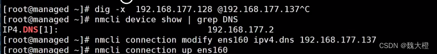 DNS1（Bind软件）