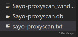 Say0l的安全开发-代理扫描工具-Sayo-proxyscan【红队工具】