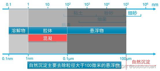 水中杂质的种类和大小