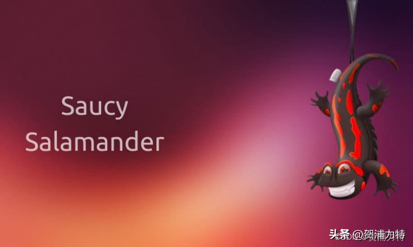 04 , code name: raring ringtail , 代号: 热情