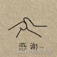 C语言——数组