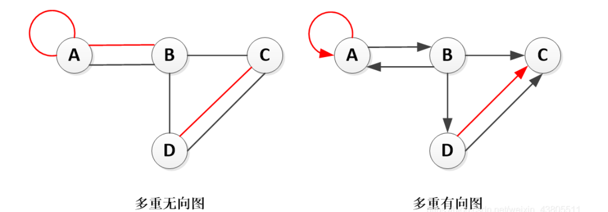 简单图和多重图
