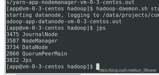 hadoop启动之后的dn