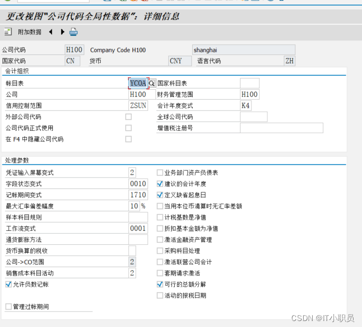 SAP 公司代码全局参数设置及其意义