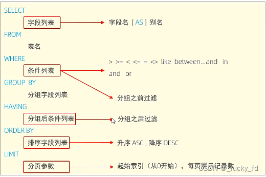 DQL语法