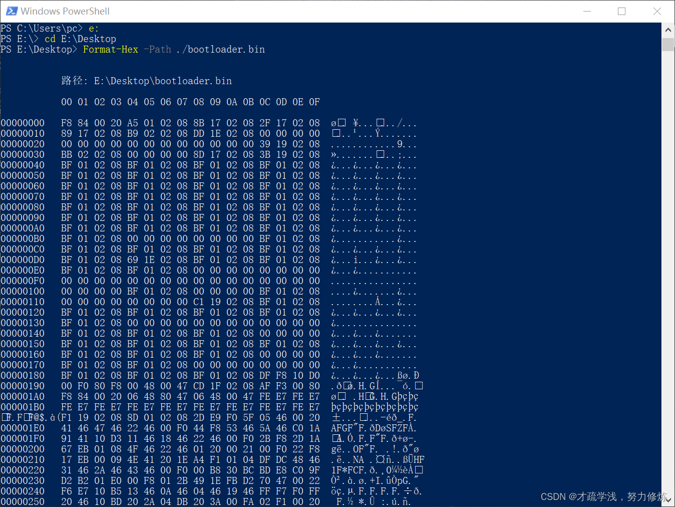 PowerShell 打开十六进制文件