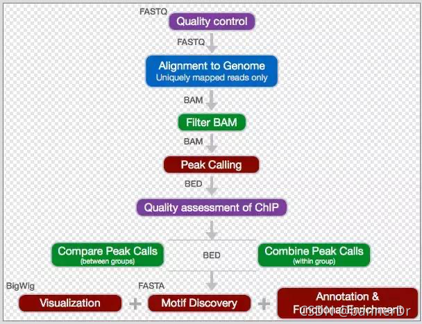 ATAC-seq/CHIP-seq流程