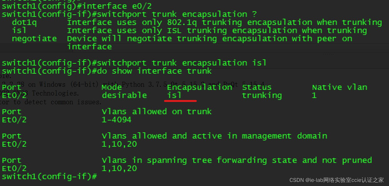 Cnet Trunk 思科华为网络工程师必修-什么是trunk?带你快速了解trunk_思科 trunk-CSDN博客