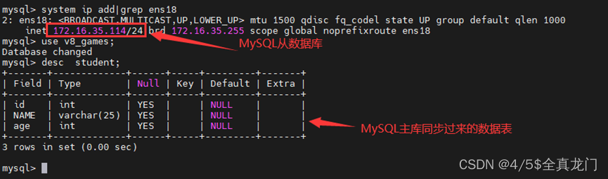 MySQL 读写分离代理（Mycat2）