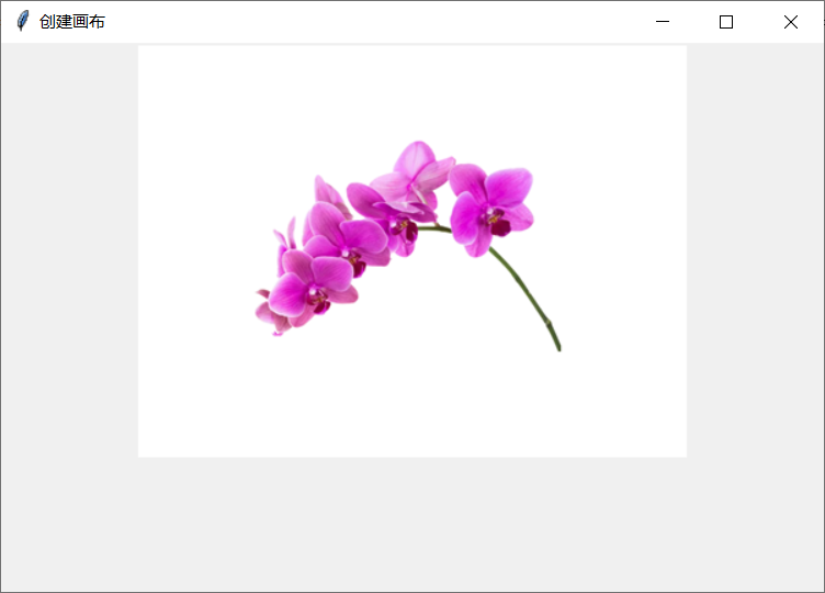 Python 的Tkinter包系列之三:Canvas(画布)_python canvas-CSDN博客