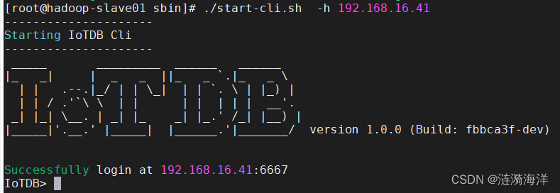 IOTDB 1.0.1版本单机部署