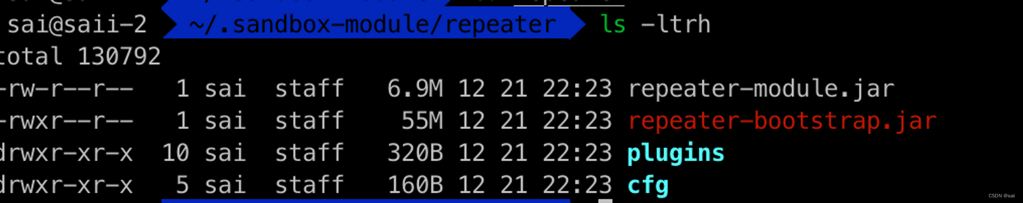 sandbox启动未加载repeater的问题