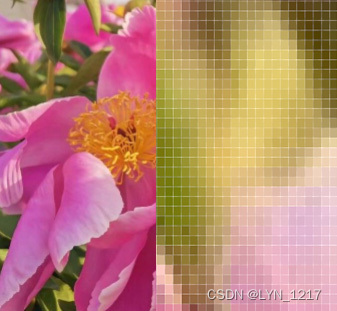 位图，左边正常情况，右边放大之后。