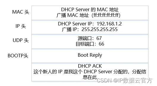 IP地址分配与释放