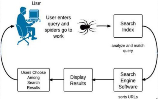搜索引擎的工作原理：爬取、索引、排名