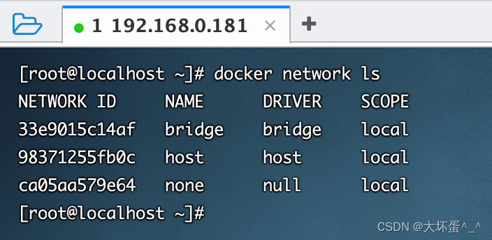 第08讲：Docker中的网络类型bridge和host